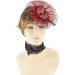 Pack de Tutu, Collar y Tocado Halloween (Adulto)