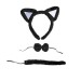 Pack de Gato